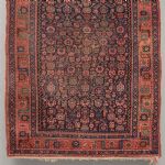 1035 7550 ORIENTAL RUG